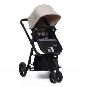 Carucior 2 in 1 Cangaroo Sarah Bej