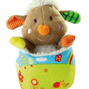 Oita Tuck MINIPOP