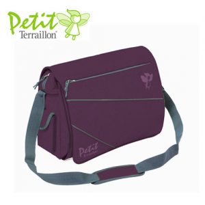 Geanta transport evol